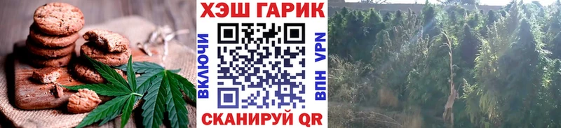 Купить где  Шарыпово  Печенье с ТГК конопля 