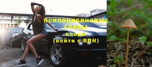 меф Инта