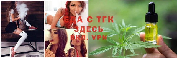 spice Инсар