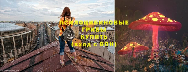 меф Инта