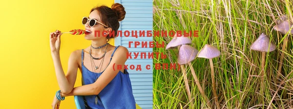 spice Инсар