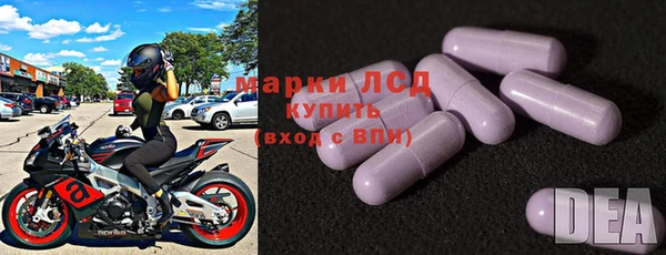 spice Инсар