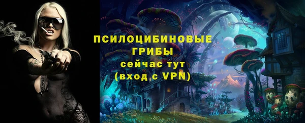 Альфа ПВП Иннополис