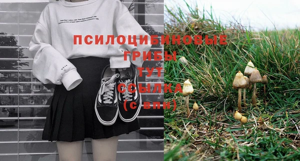 меф Инта